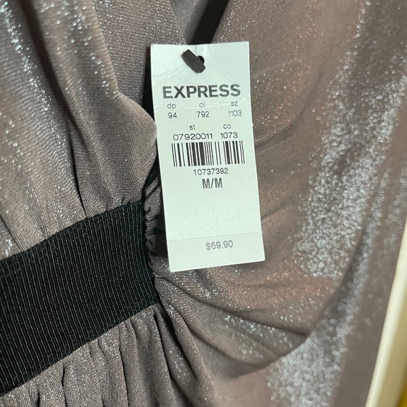 Express Dress - Picture 3 of 3